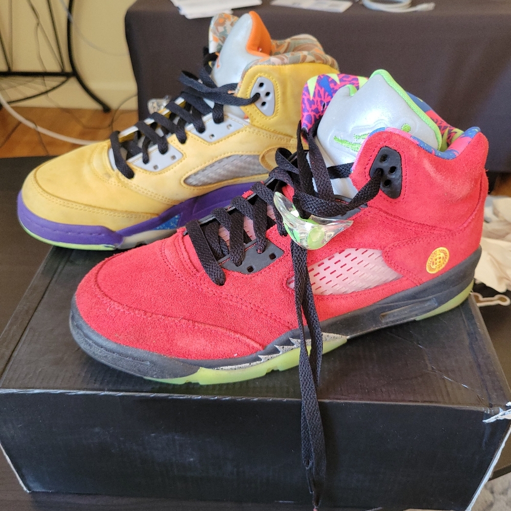 Jordan 5 SE What the